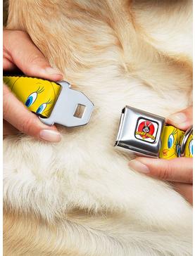 Looney Tunes Tweety Bird Yellow Seatbelt Buckle Dog Collar, , hi-res