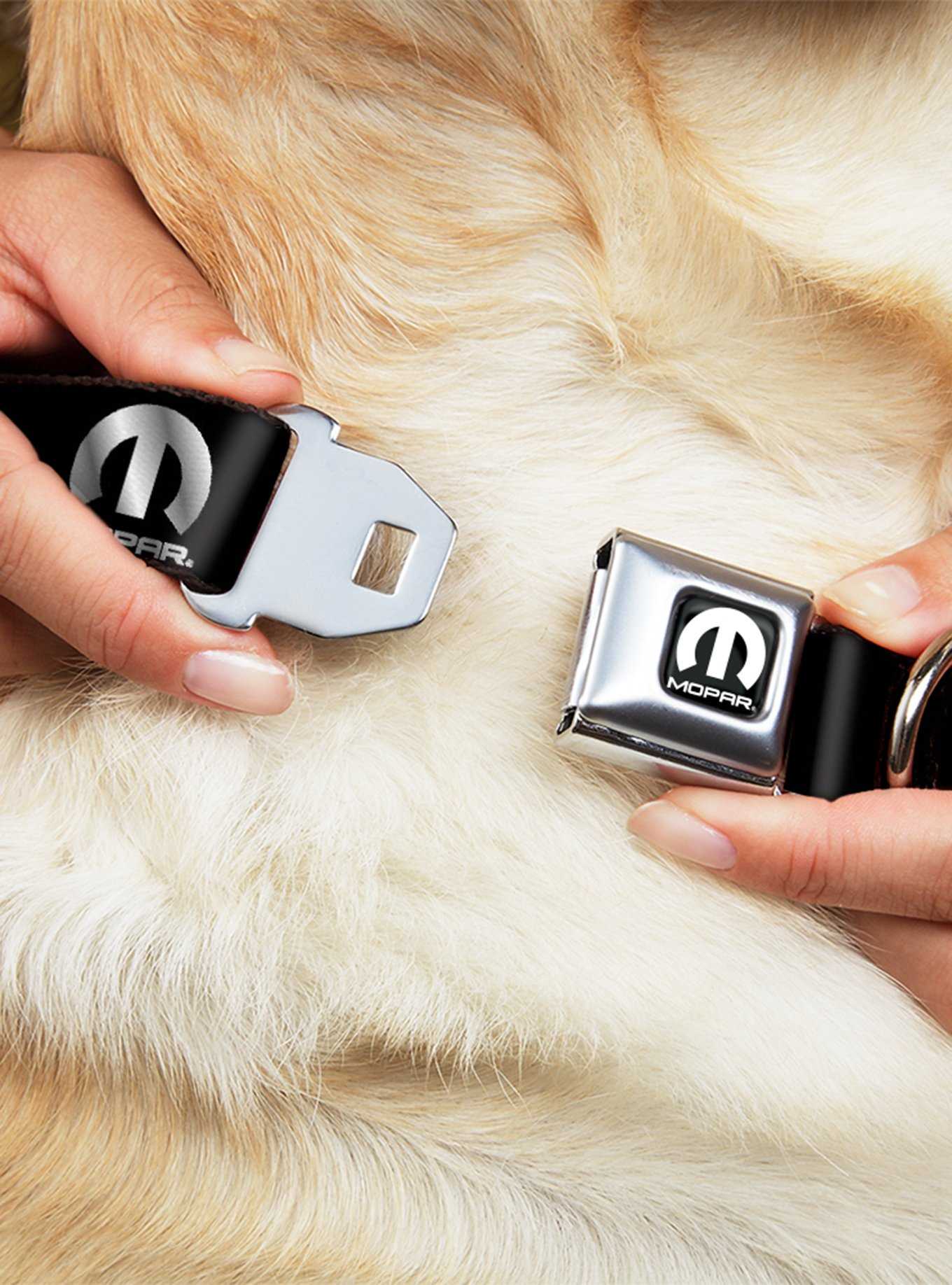 Mopar Logo Repeat Black Silver Gradient Seatbelt Buckle Dog Collar, , hi-res