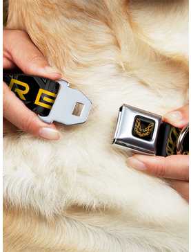 Pontiac Firebird Seatbelt Buckle Dog Collar, , hi-res