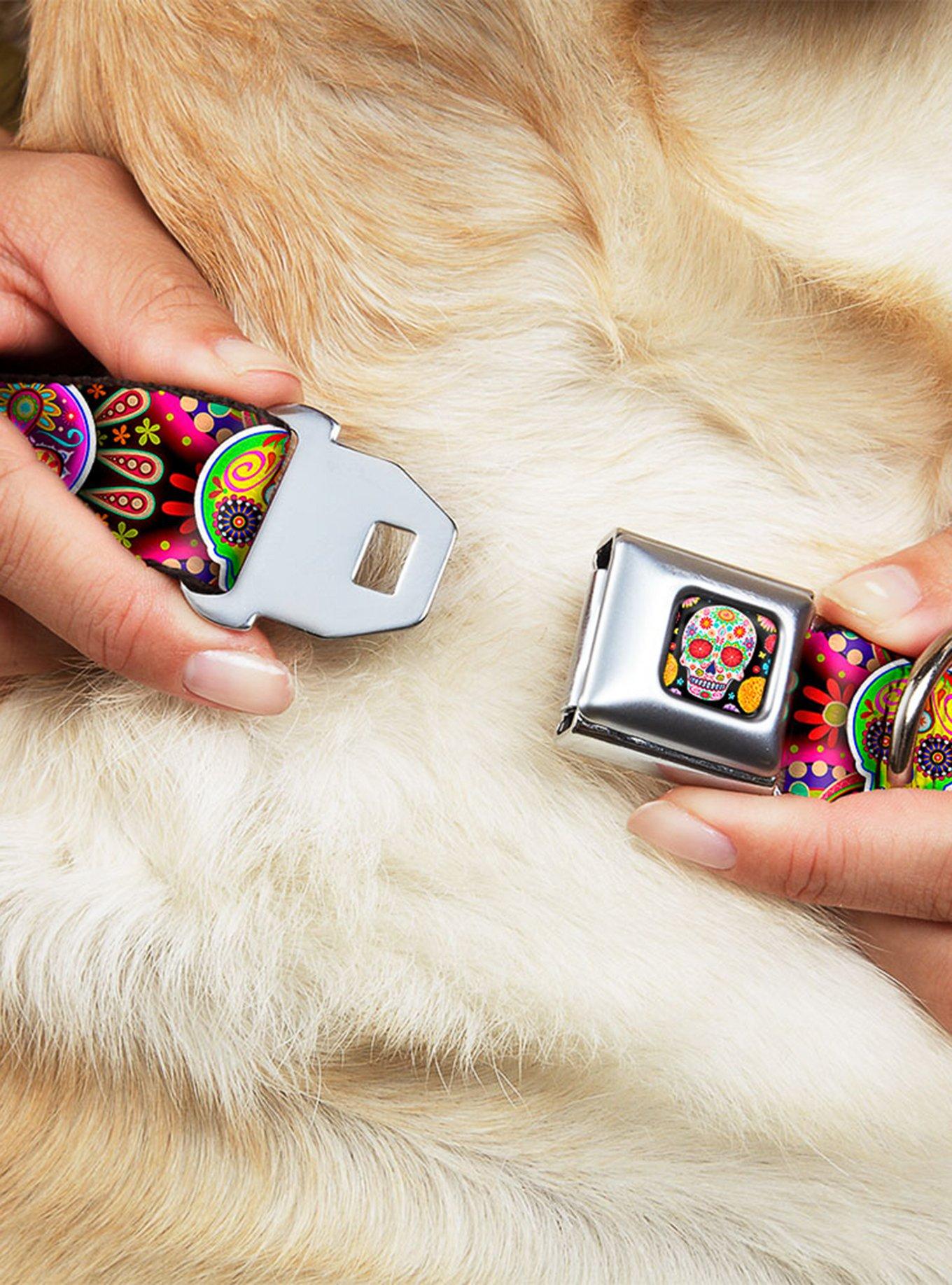 Six Sugar Skulls Seatbelt Buckle Dog Collar, MULTICOLOR, alternate