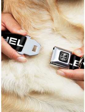 Shelby Text Only Seatbelt Buckle Dog Collar, , hi-res