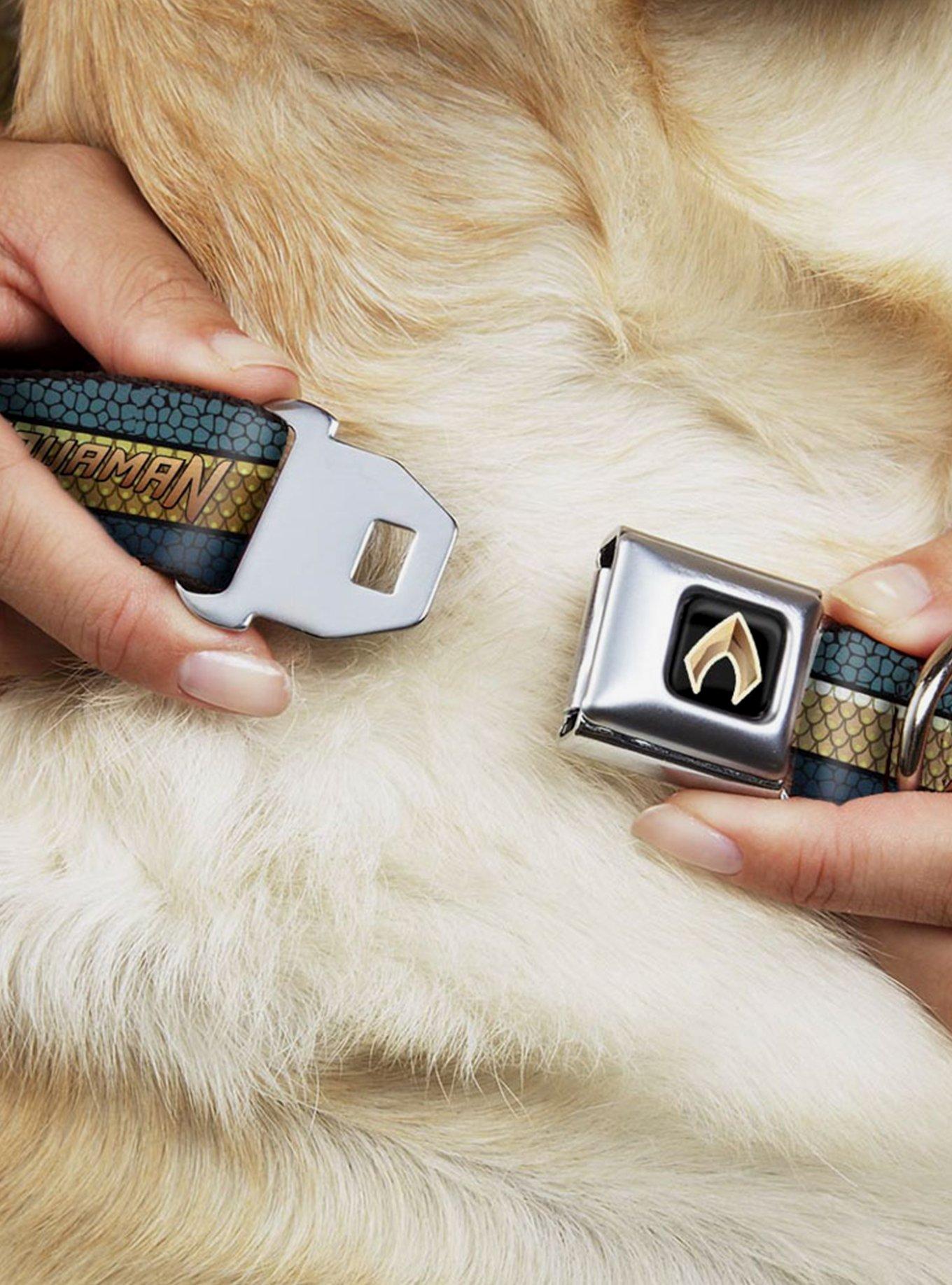 DC Comics Justice League Aquaman Scales Stripe Seatbelt Buckle Dog Collar