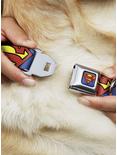 DC Comics Justice League Jagged Superman Shield Close Up Seatbelt Buckle Dog Collar, MULTICOLOR, alternate
