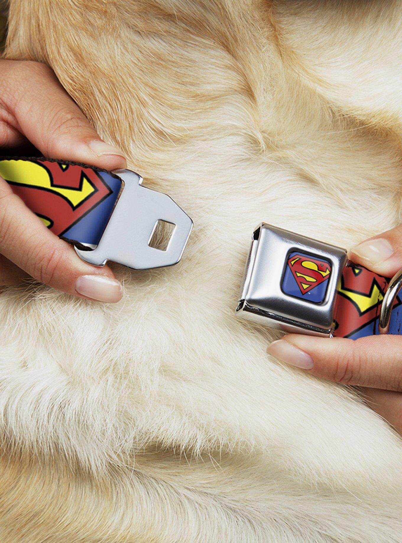 DC Comics Justice League Jagged Superman Shield Close Up Seatbelt Buckle Dog Collar, MULTICOLOR, alternate