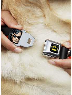 DC Comics Justice League Robin Seatbelt Buckle Dog Collar, , hi-res