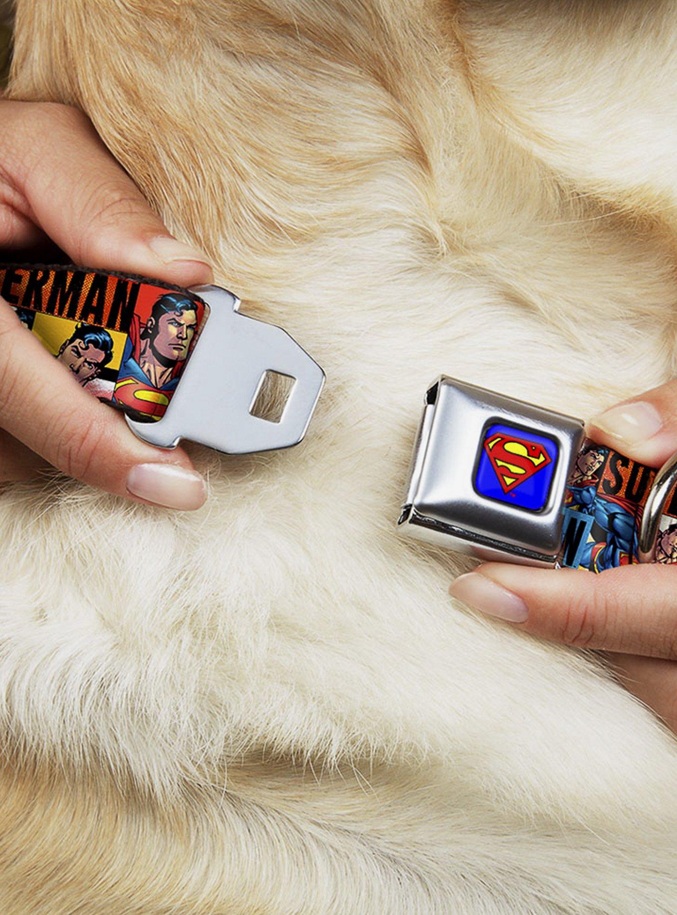 DC Comics Justice League Superman Action Blocks Seatbelt Buckle Dog Collar, RED, alternate