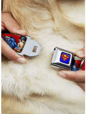 DC Comics Justice League Superman Action Poses Stars Stripes Seatbelt Buckle Dog Collar, , hi-res