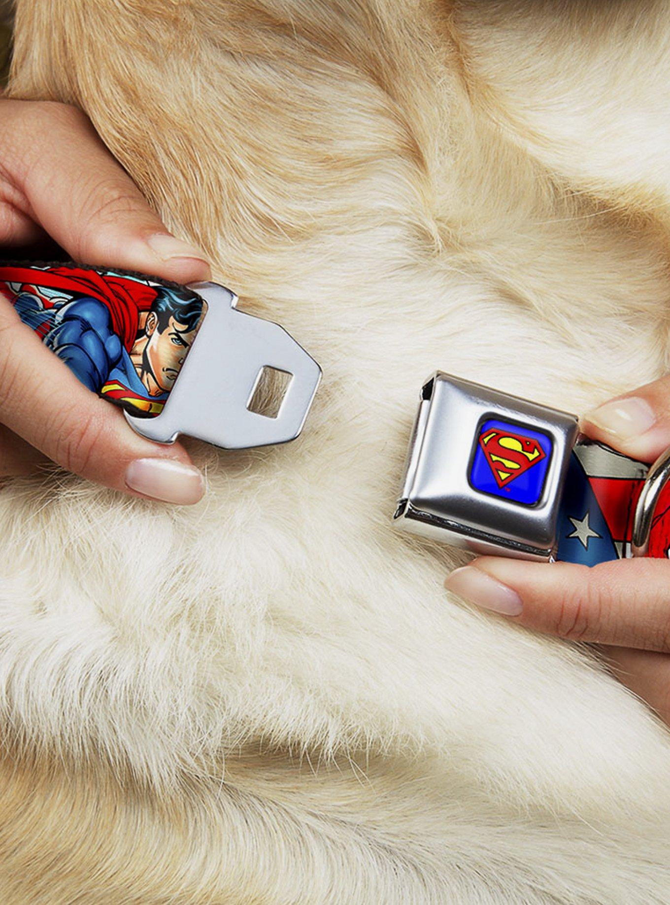 DC Comics Justice League Superman Action Poses Stars Stripes Seatbelt Buckle Dog Collar, MULTICOLOR, alternate