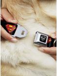 DC Comics Justice League Superman Shield Black Seatbelt Buckle Dog Collar, BLACK, alternate