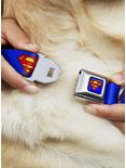 DC Comics Justice League Superman Shield Blue Seatbelt Buckle Dog Collar, BLUE, alternate