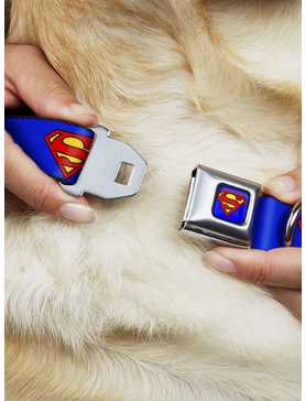 DC Comics Justice League Superman Shield Blue Seatbelt Buckle Dog Collar, , hi-res