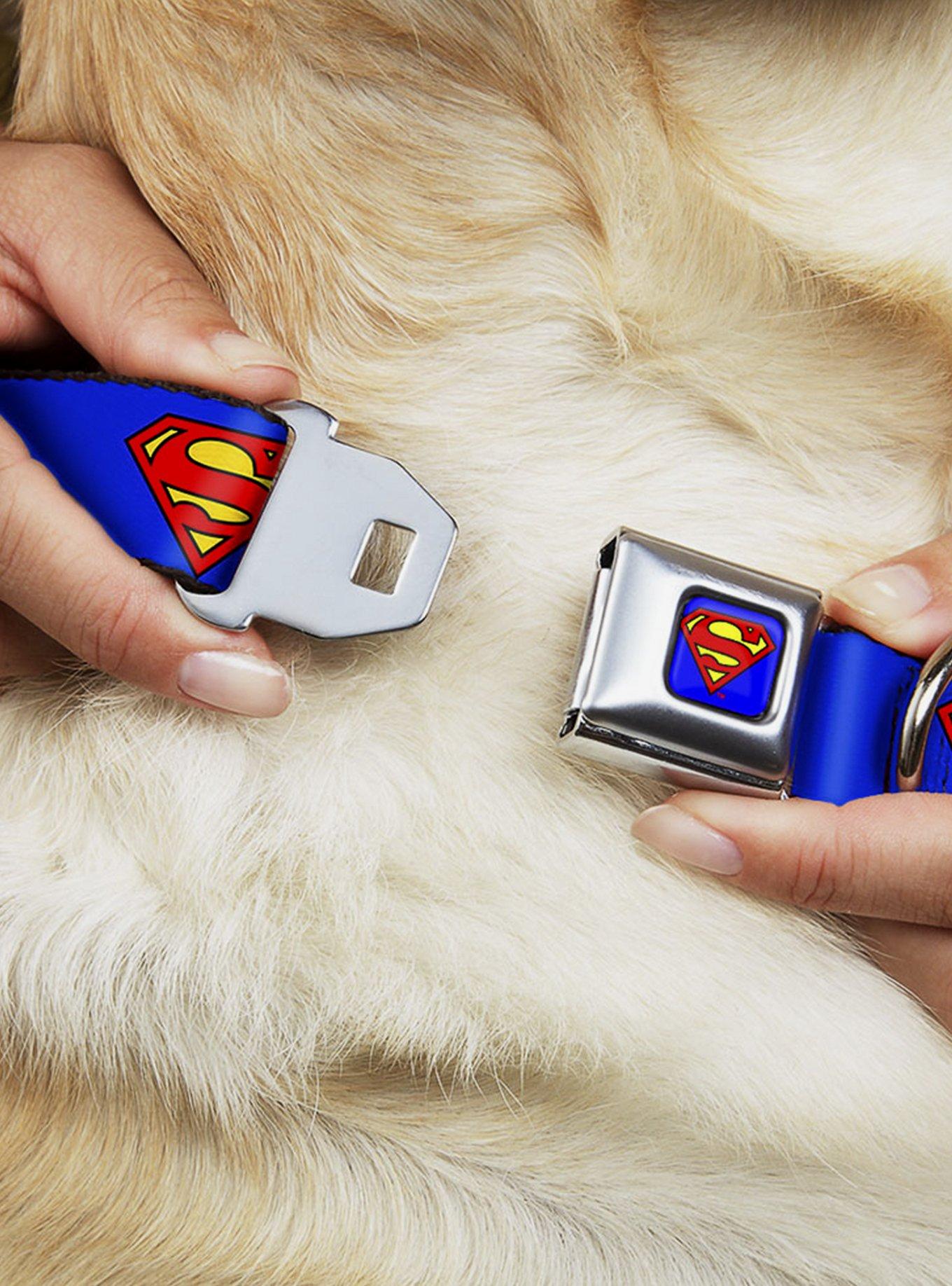 DC Comics Justice League Superman Shield Blue Seatbelt Buckle Dog Collar, , hi-res