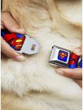 DC Comics Justice League Superman Shield Cape Seatbelt Buckle Dog Collar, MULTICOLOR, alternate
