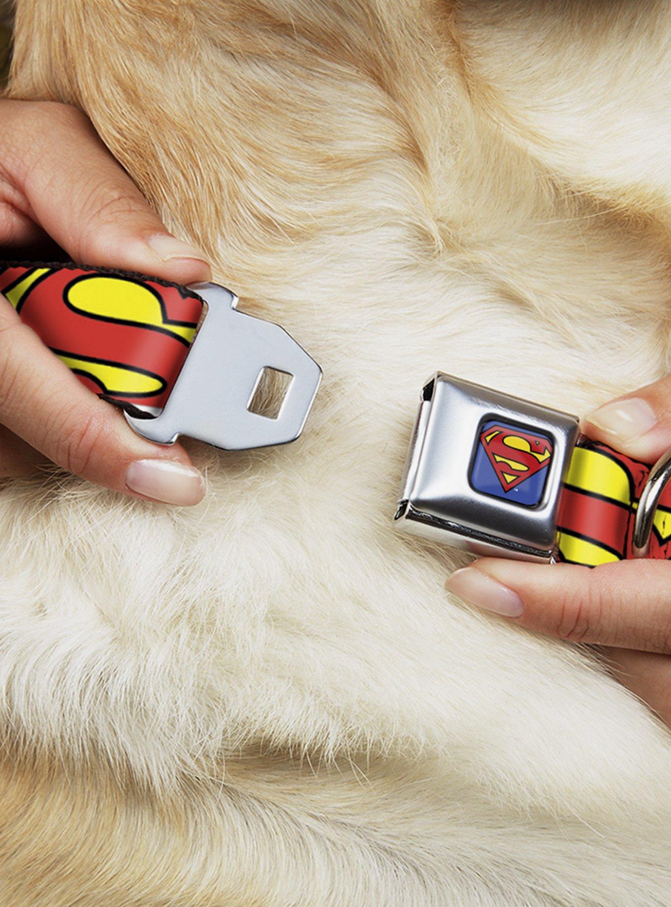 DC Comics Justice League Superman Shield Close Up Blue Red Yellow Seatbelt Buckle Dog Collar, , hi-res