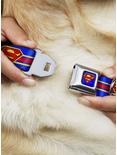 DC Comics Justice League Superman Shield Stripe Blue Yellow Red Seatbelt Buckle Dog Collar, BLUE, alternate