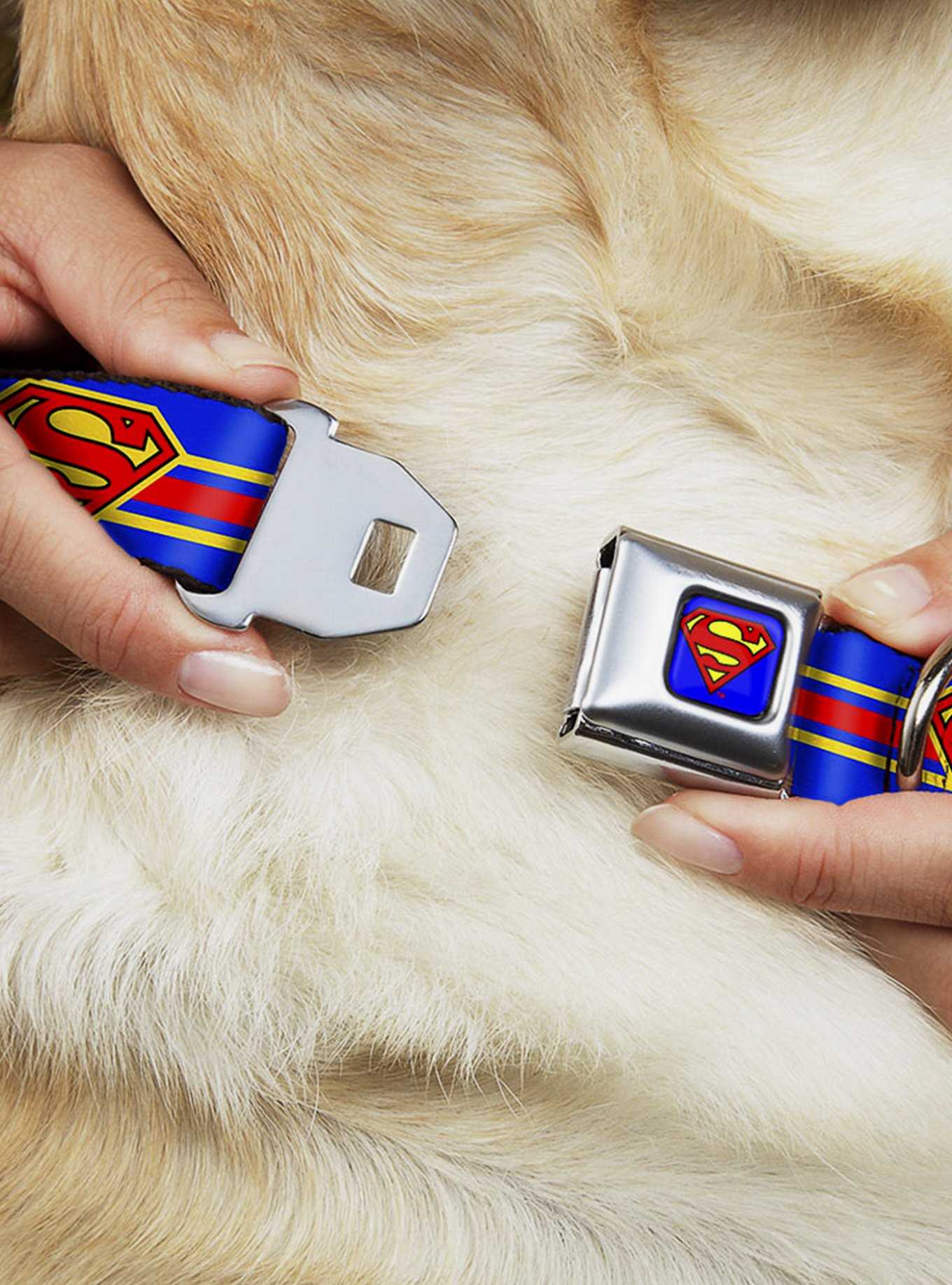 DC Comics Justice League Superman Shield Stripe Blue Yellow Red Seatbelt Buckle Dog Collar, , hi-res
