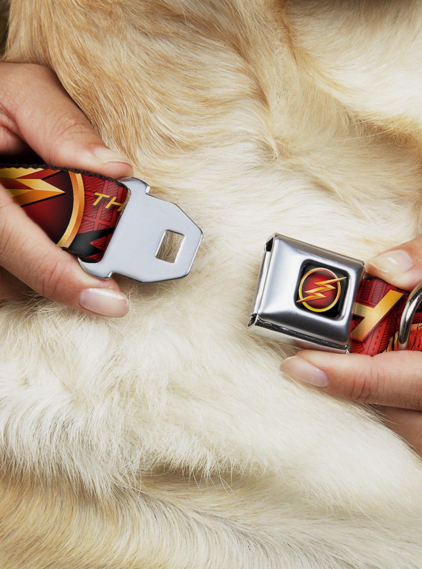 DC Comics Justice League The Flash Logo 3 Poses Seatbelt Buckle Dog Collar, , hi-res