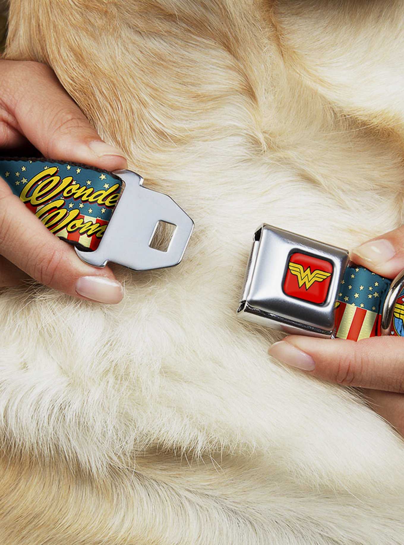 DC Comics Justice League Wonder Woman Logo Americana Seatbelt Buckle Dog Collar, , hi-res