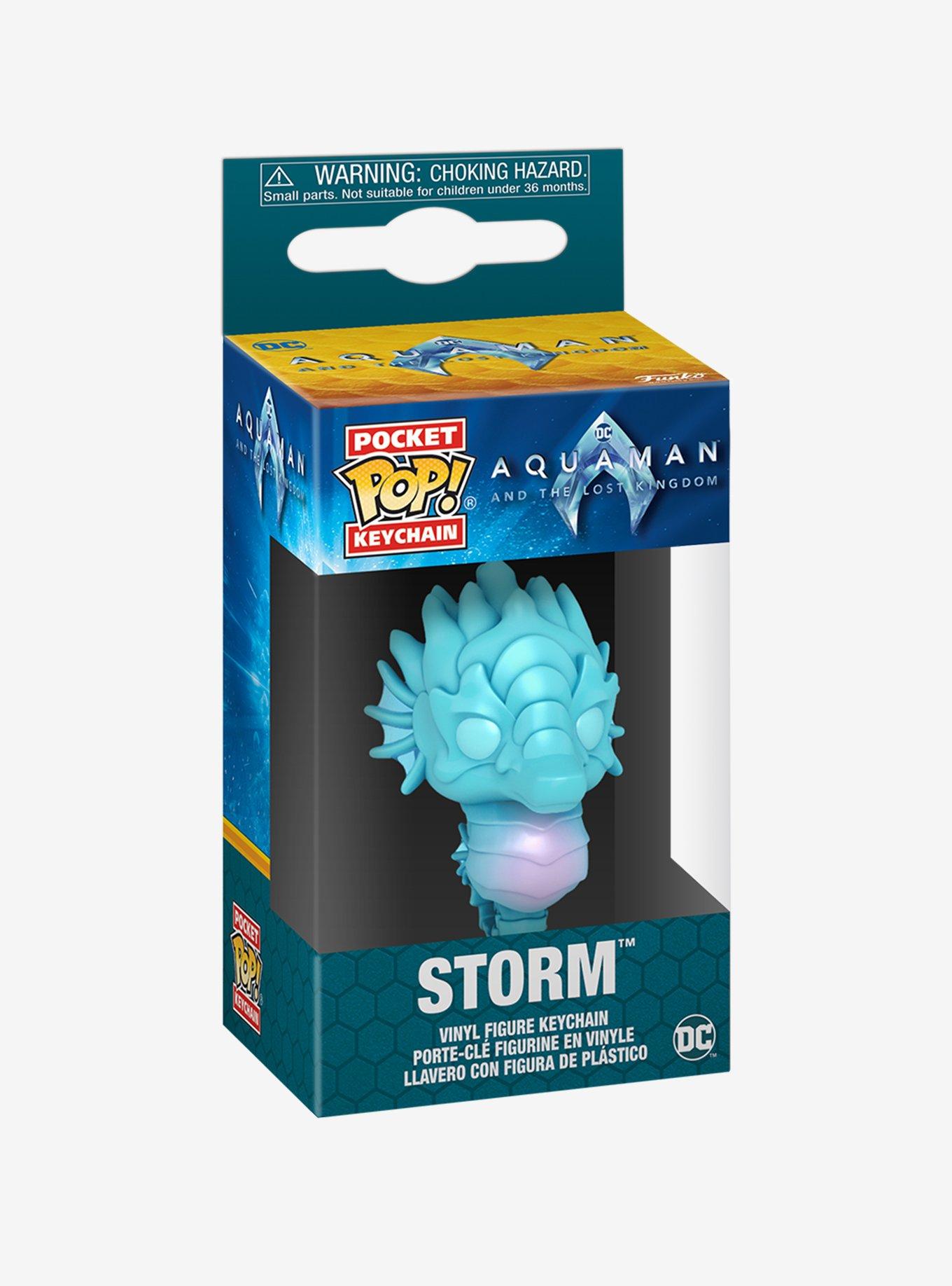 Funko Pocket Pop! DC Comics Aquaman and the Lost Kingdom Storm Vinyl Keychain, , alternate