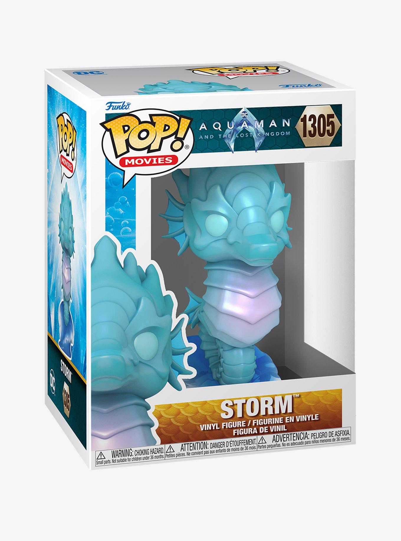 Funko Pop! Movies DC Comics Aquaman and The Lost Kingdom Storm Vinyl Figure, , alternate