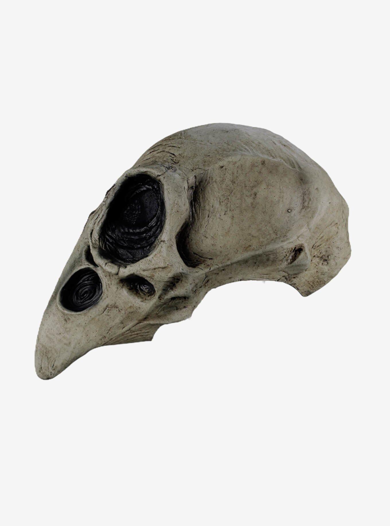 Crow Skull Mask, , alternate