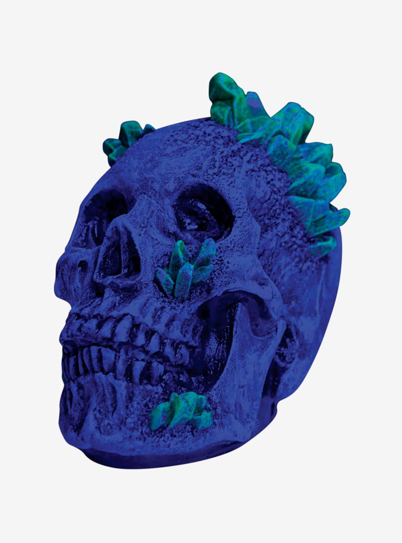 Kryptonite Skull Decor, , hi-res