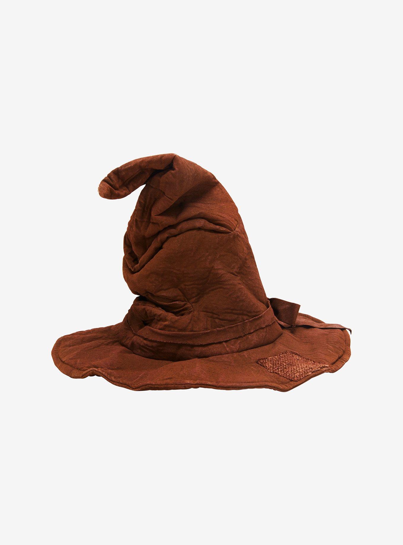 Harry Potter with a removable 3D sorting hat topper Tumbler and