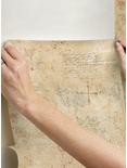 Game of Thrones Map Tan Peel & Stick Wallpaper, , alternate