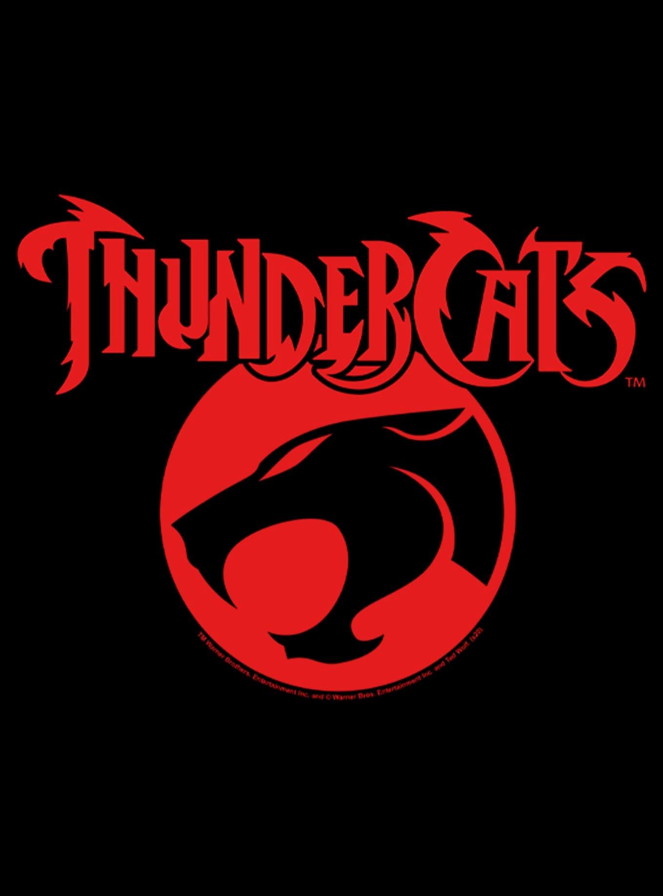 Thundercats Logo Hoodie, , hi-res