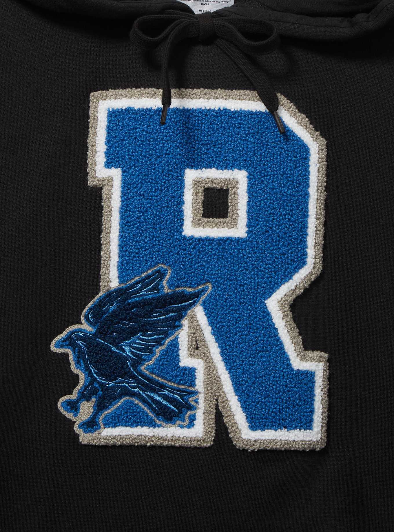 Harry Potter Ravenclaw Varsity Hoodie - BoxLunch Exclusive, , hi-res