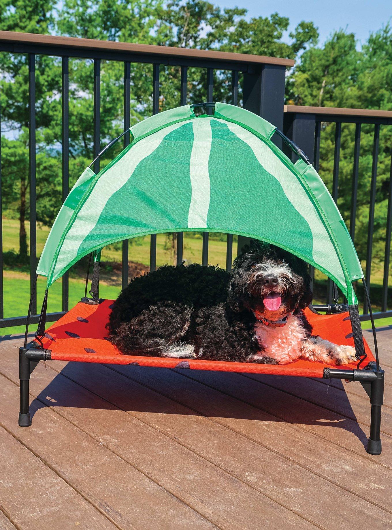BigMouth Elevated Dog Bed Watermelon, , hi-res
