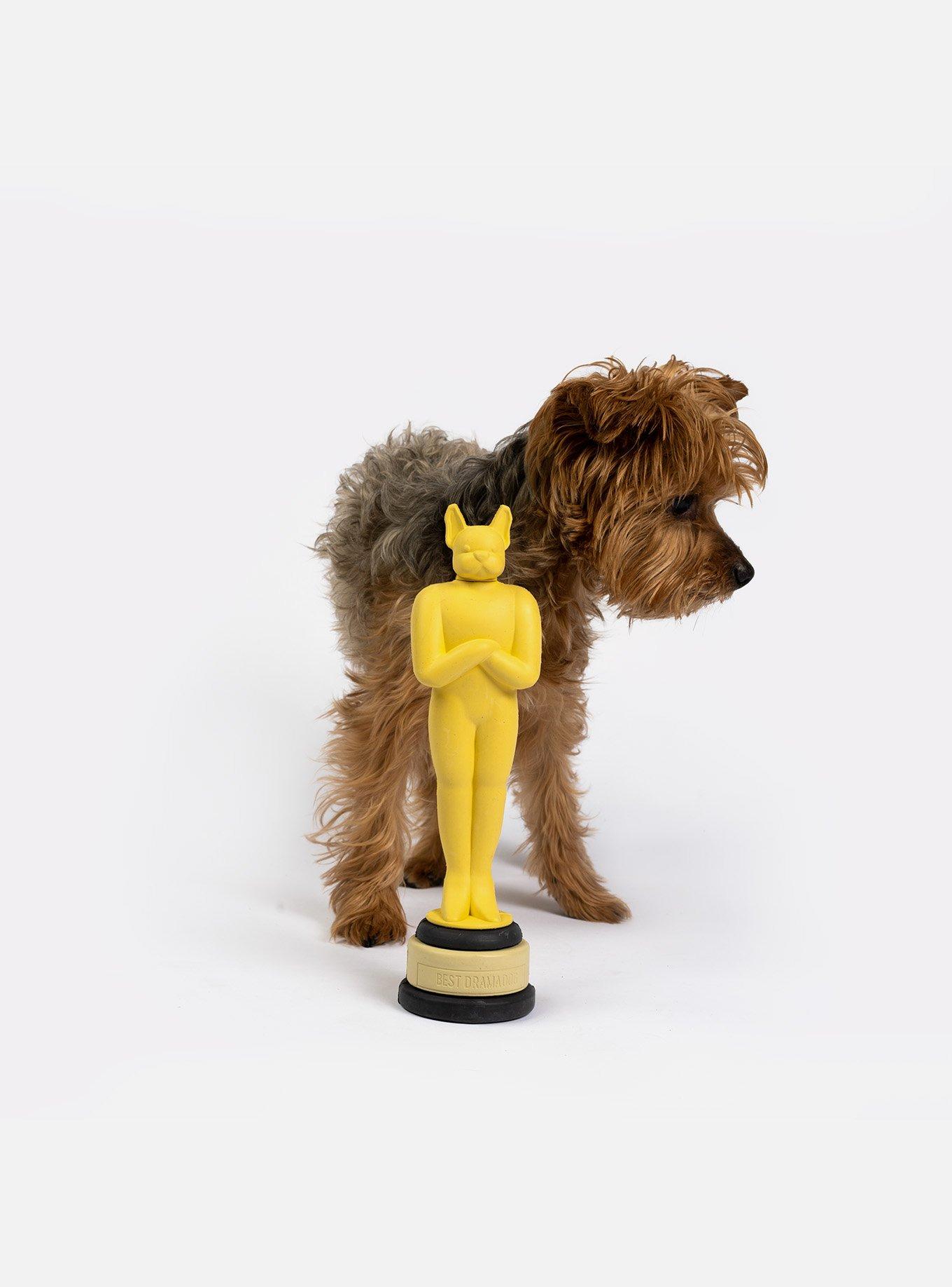 Award Dog Toy, , alternate