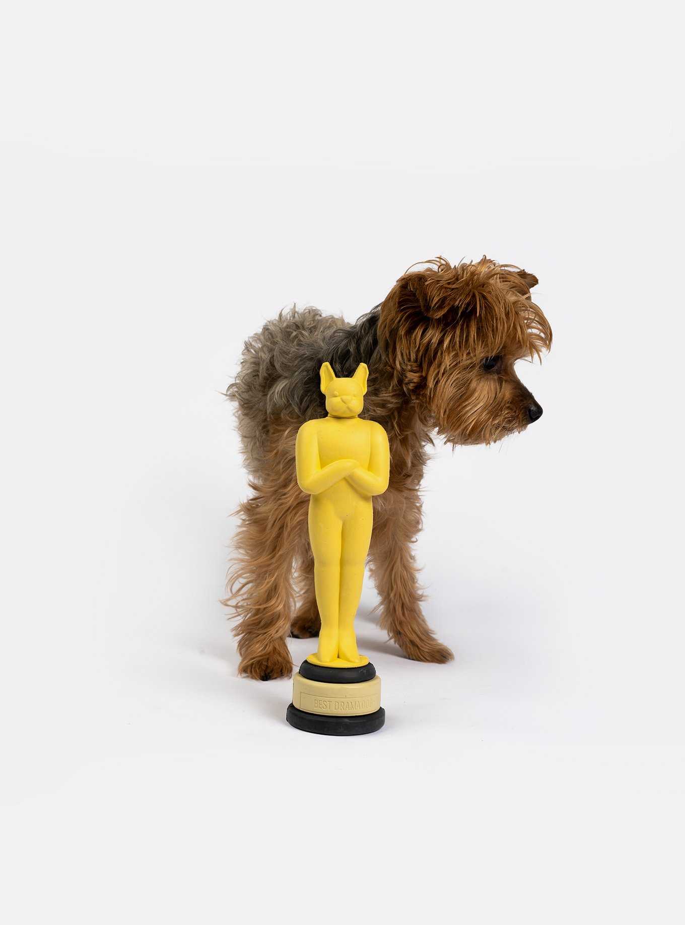 Award Dog Toy, , hi-res