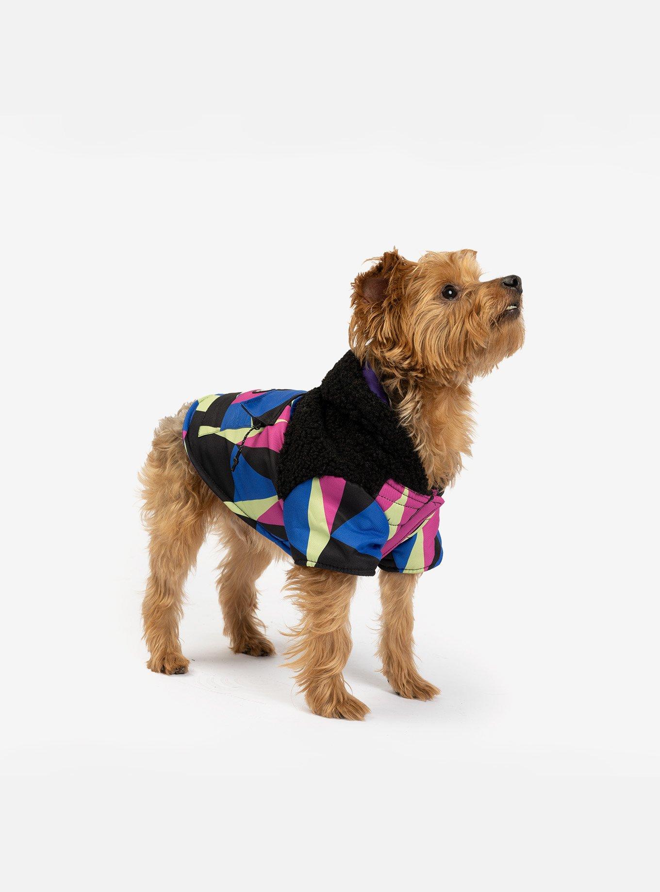 Ingo Dog Jacket, PURPLE, alternate