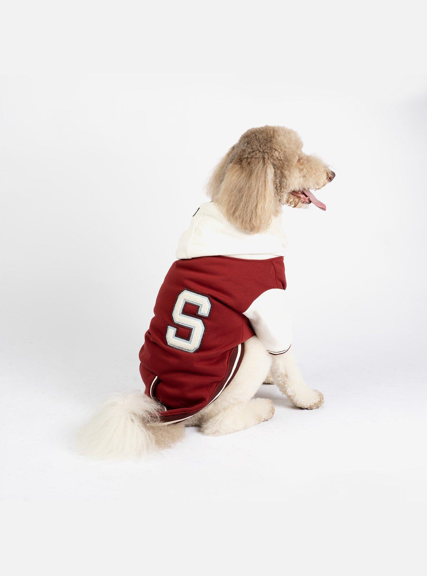 Otis Dog Letterman Jacket, BURGUNDY, alternate