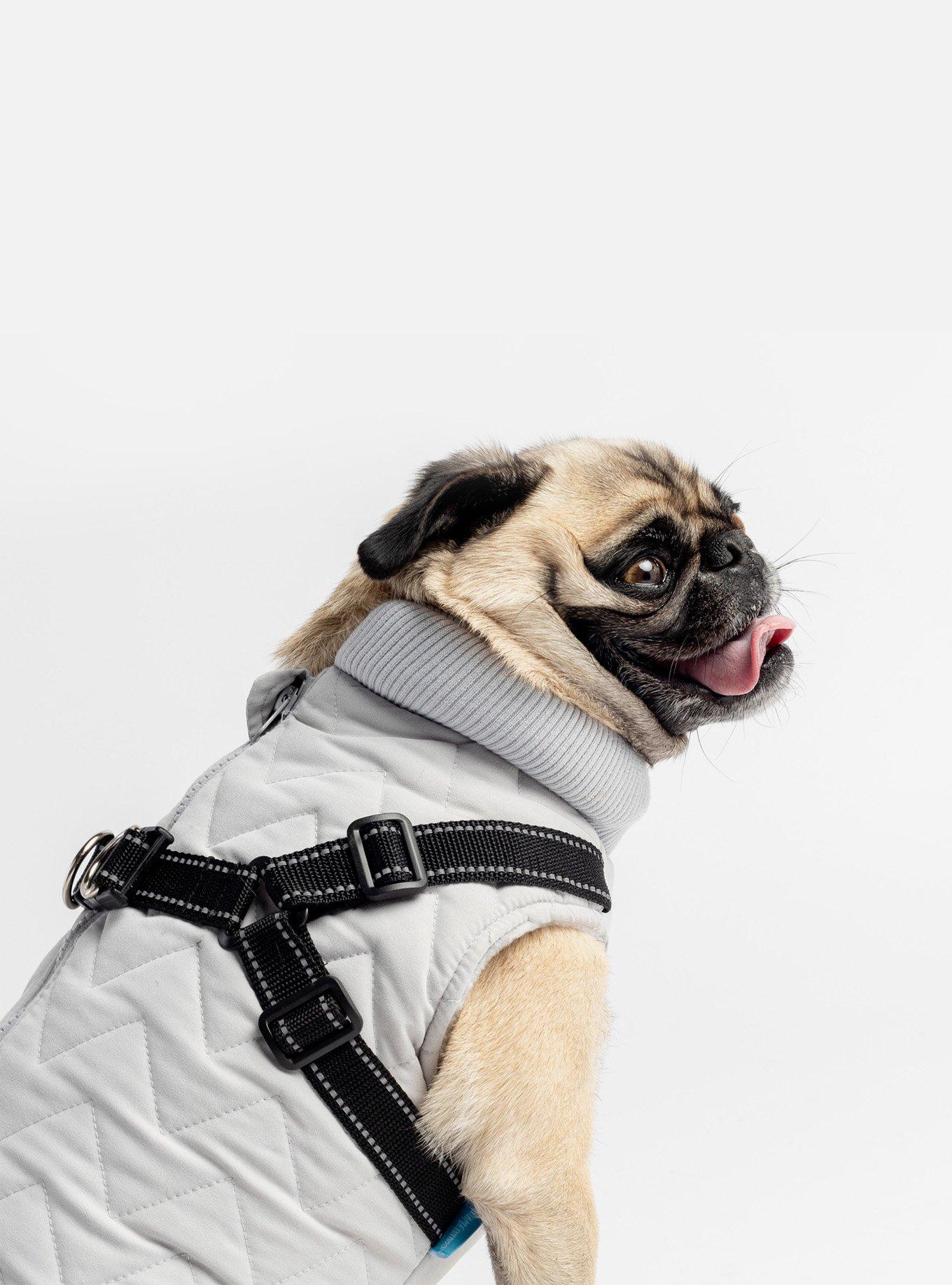 Quilted Dog Jacket With Built-In Harness Grey, GREY, alternate