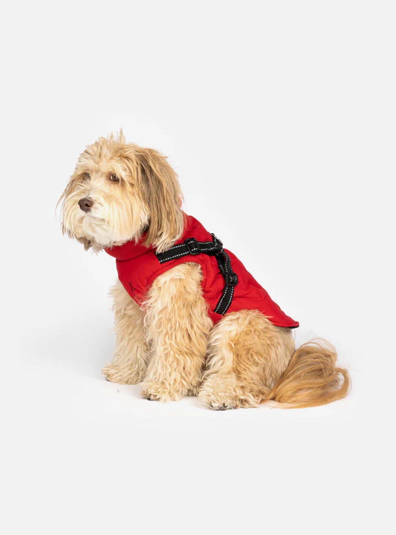 Quilted Dog Jacket With Built-In Harness Red, RED, alternate