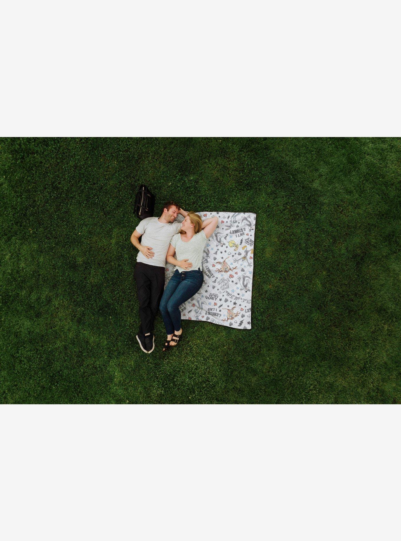 Looney Tunes Impresa Picnic Blanket, , alternate