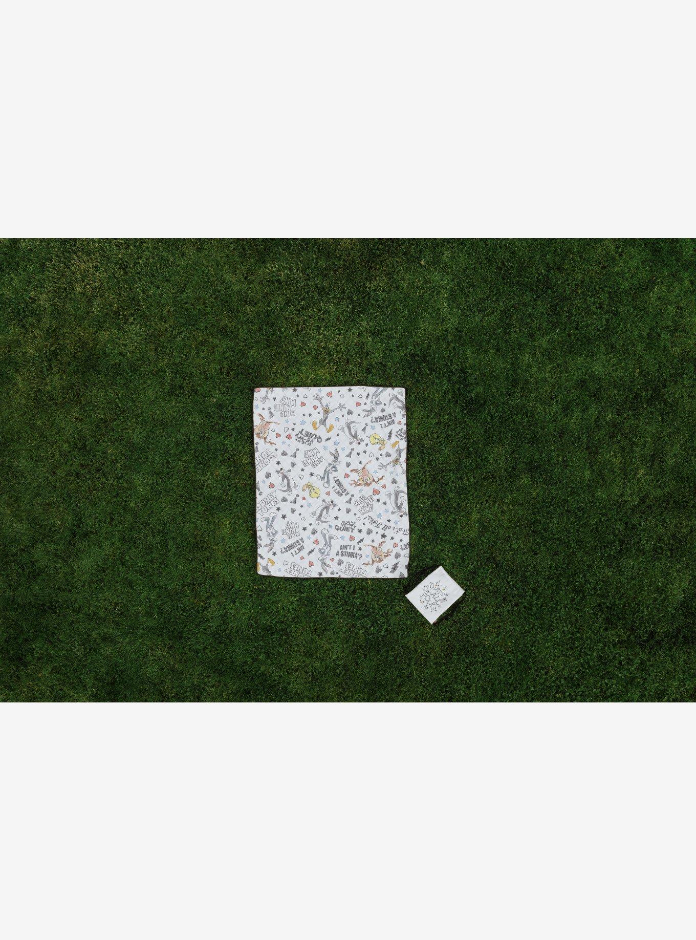 Looney Tunes Impresa Picnic Blanket, , alternate