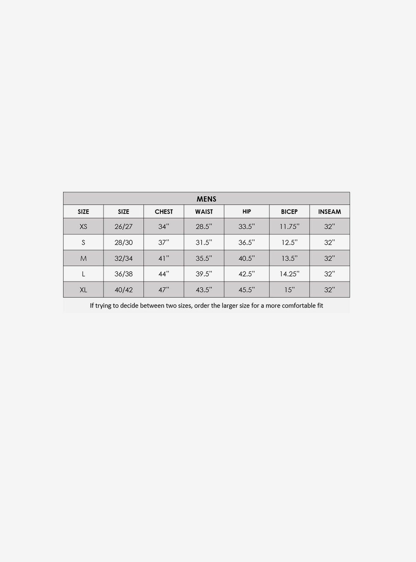 DC Comics The Flash Adult Costume