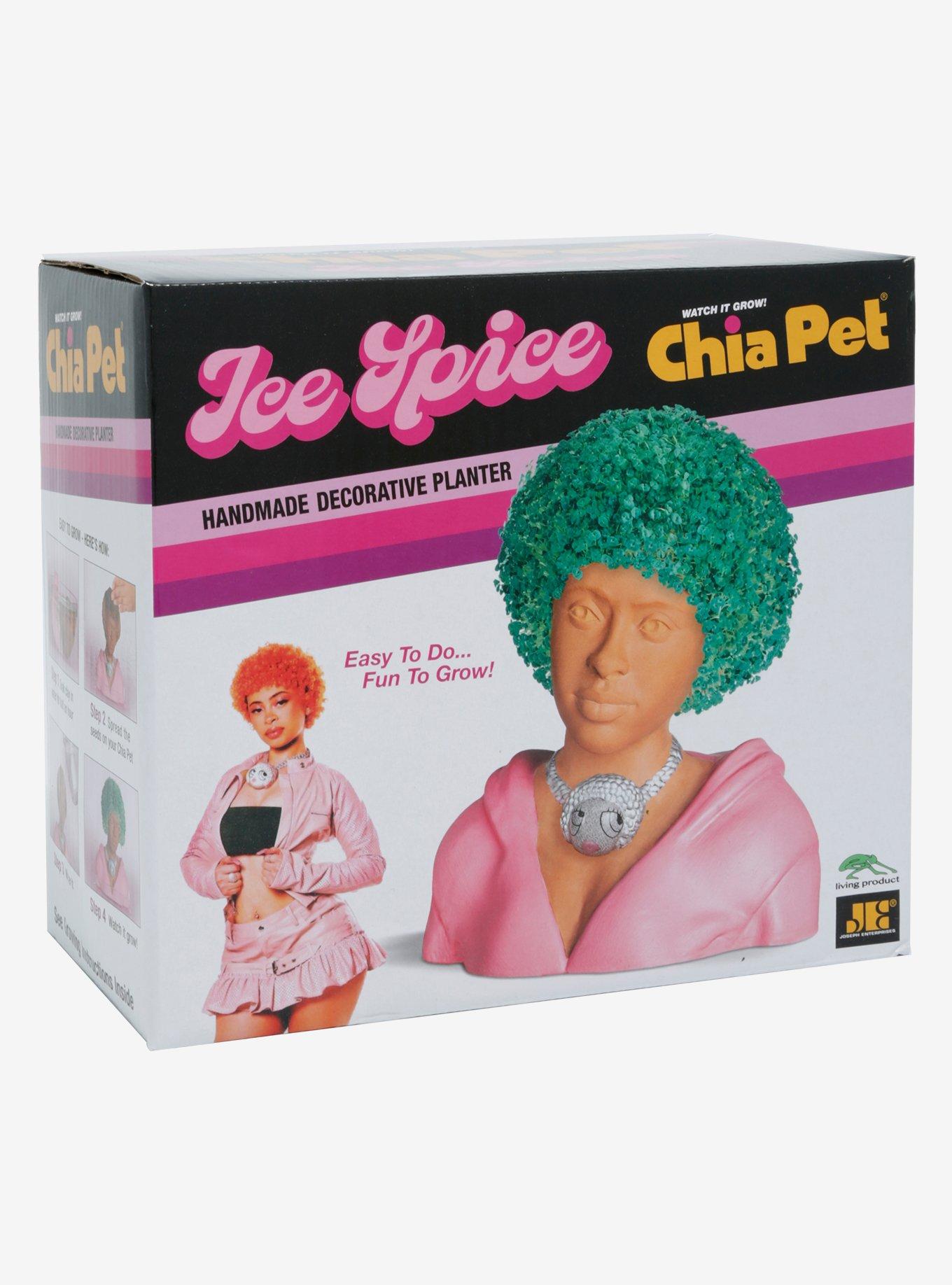 Ice Spice Chia Pet, , alternate
