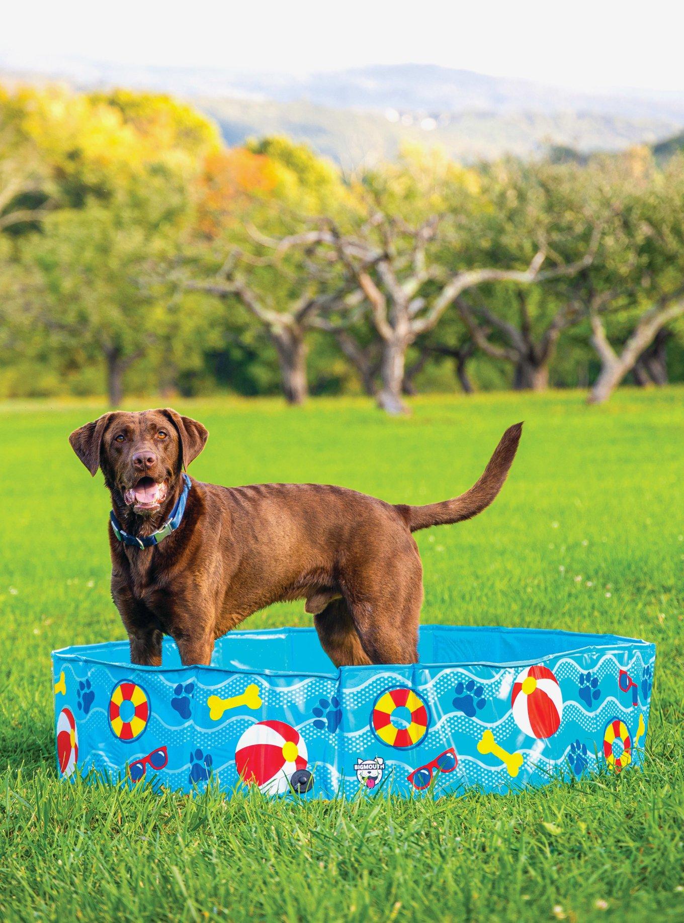 Patterned Hard Side Dog Pool, , alternate