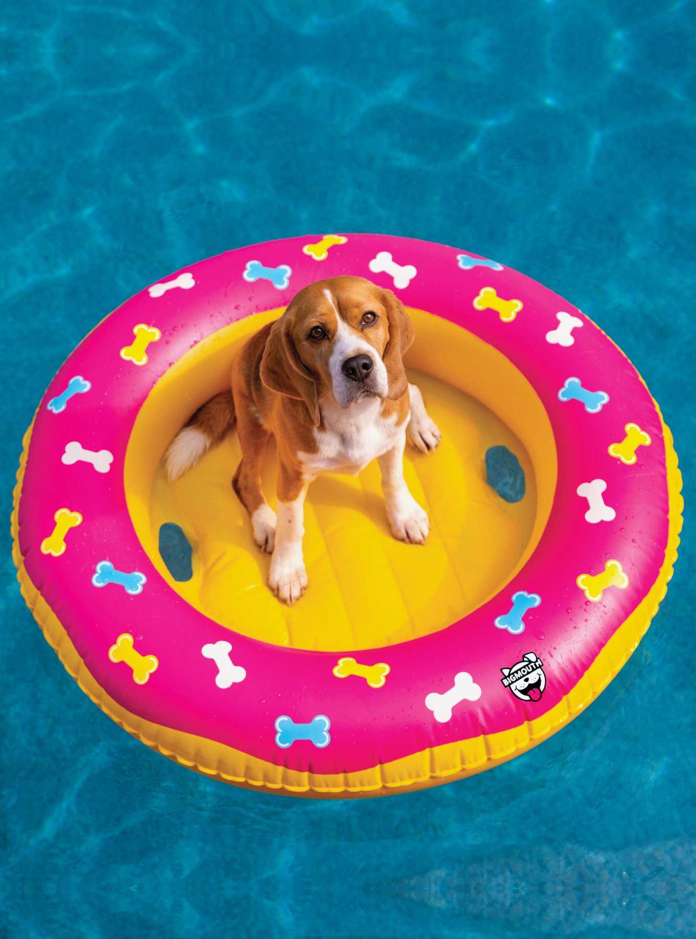 Donut Dog Pool Float, , hi-res