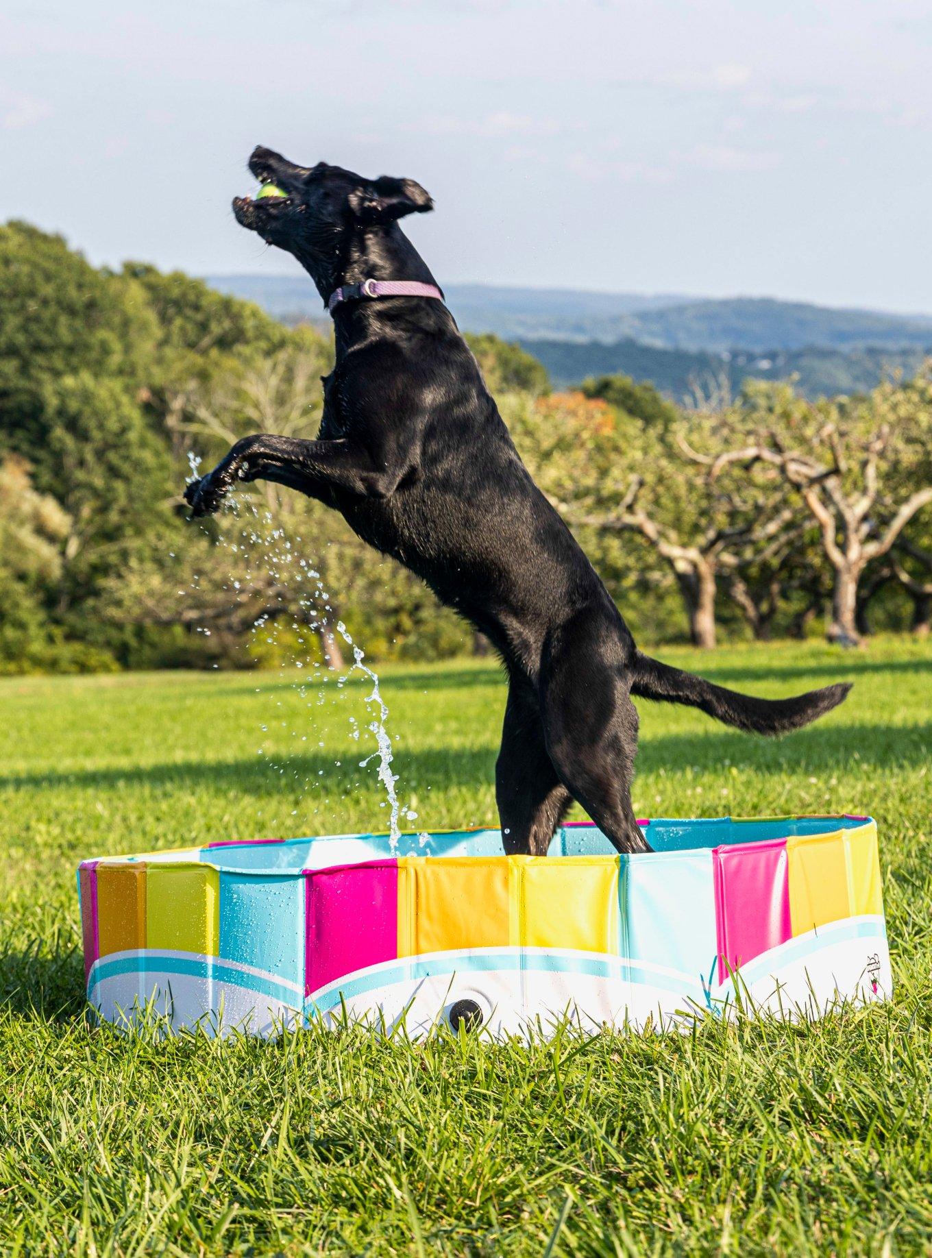 Rainbow Hard Side Dog Pool, , hi-res