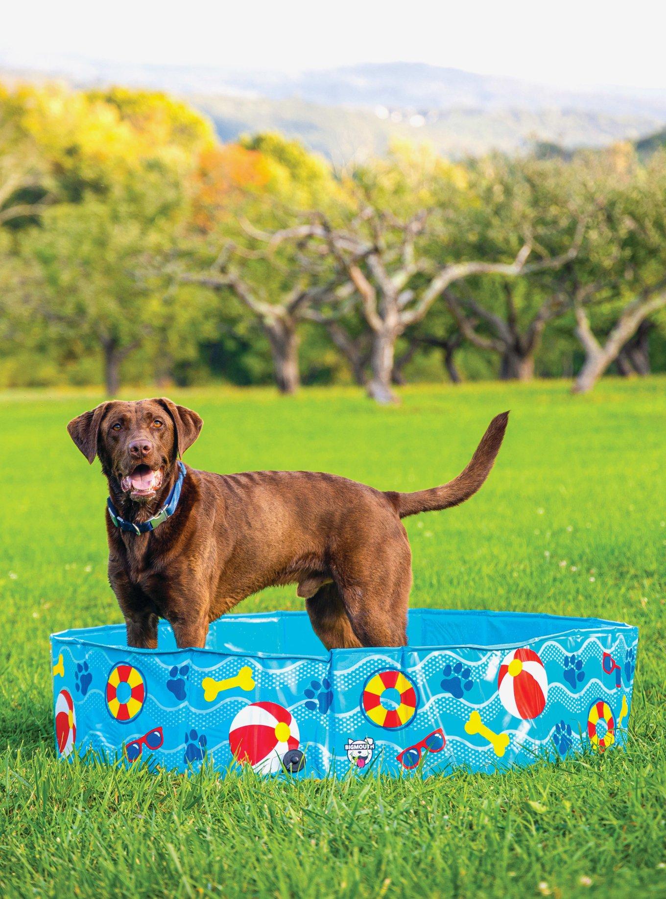 Patterned Hard Side Dog Pool, , hi-res