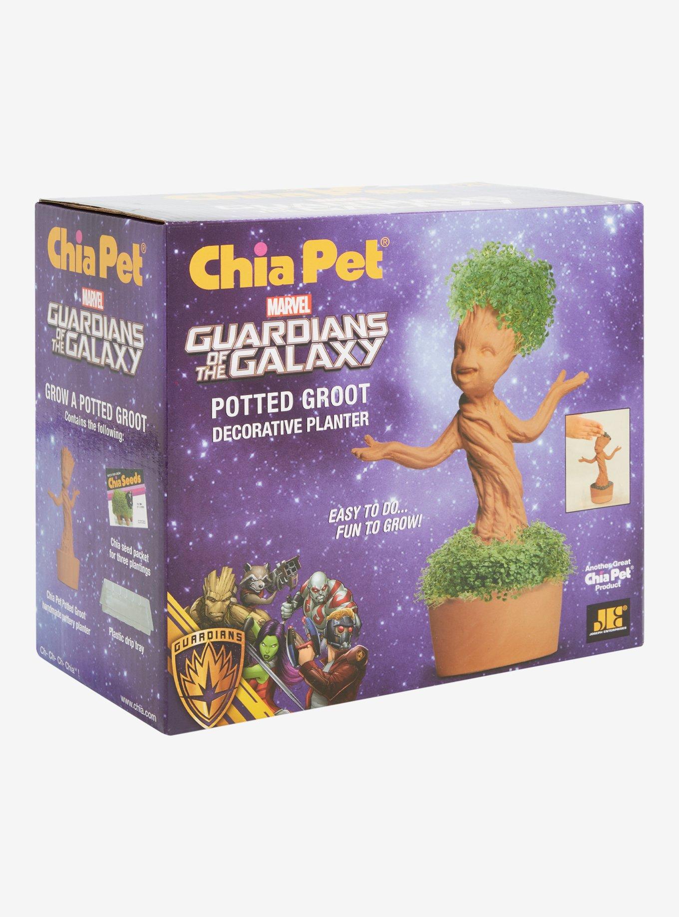 Marvel Guardians Of The Galaxy Groot Chia Pet, , alternate