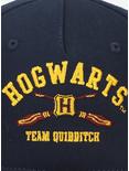 Harry Potter Hogwarts Quidditch Snapback Hat, , alternate