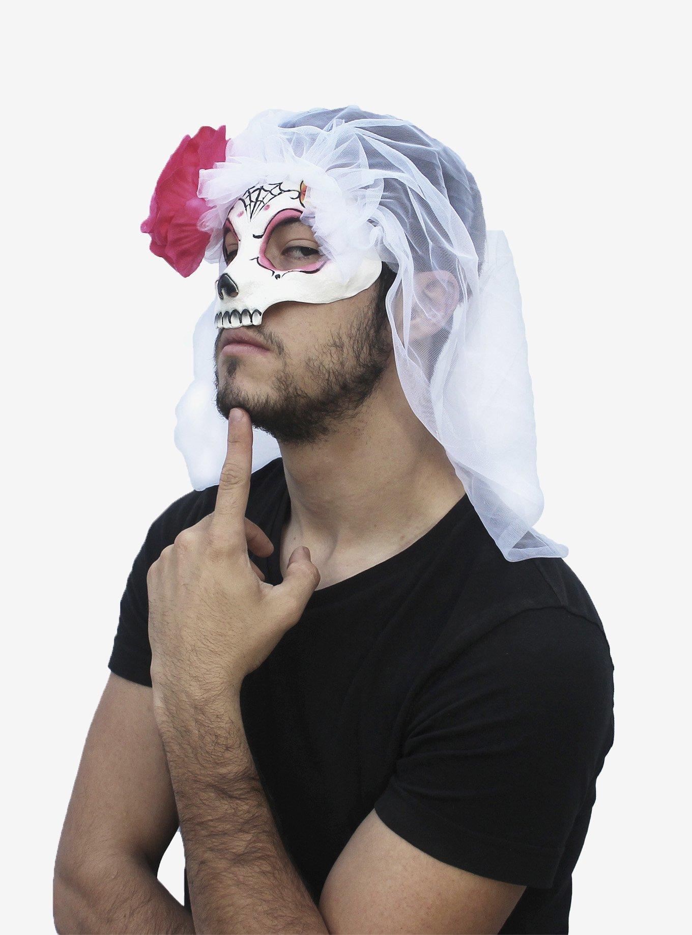 Day of the Dead Catrina Mask With Veil Pink, , hi-res