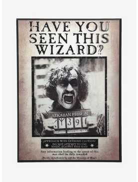 Harry Potter Have You Seen This Wizard? Lenticular Wood Wall Art, , hi-res