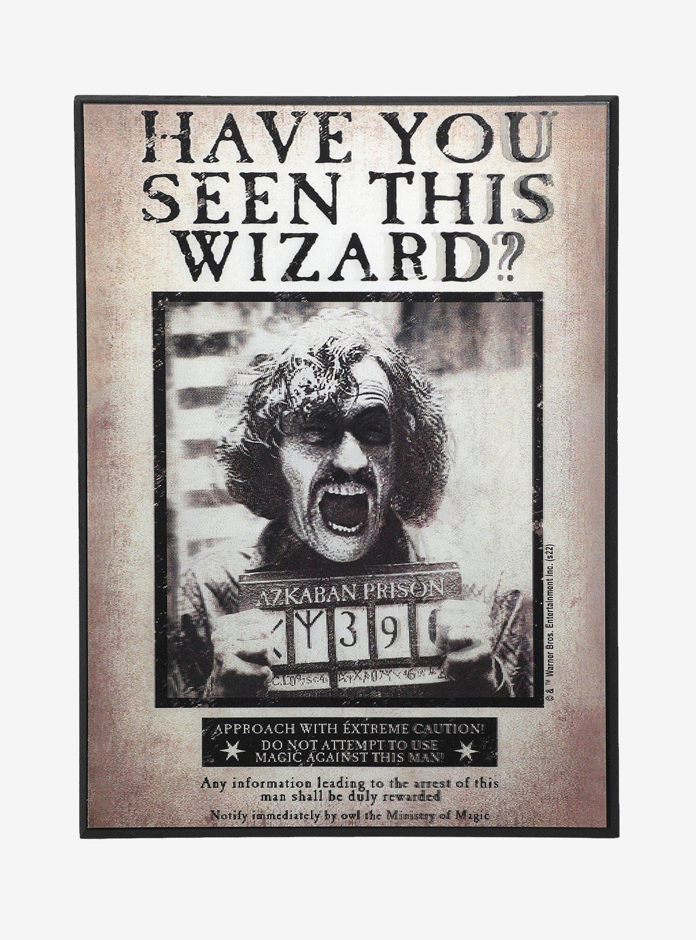Harry Potter Have You Seen This Wizard? Lenticular Wall Art, , alternate